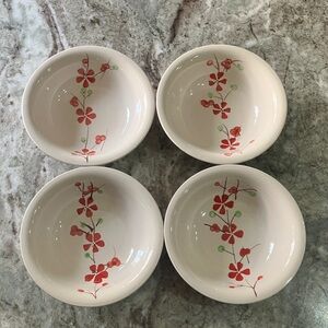 Coupe Cereal Bowl PER180 by PIER 1 Set Of 4